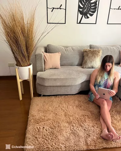 D_NQ_NP_621953-MLA52617433517_112022-O.webp Alfombra 1 X 1,50 Metros Mts Con Antideslizante Pelo Largo