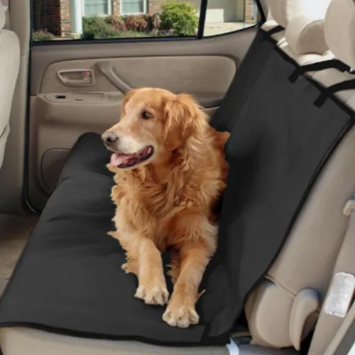 D_NQ_NP_824904-MLA47043382853_082021-O.webp Funda Mascota Perro Cubre Asiento Auto + Cinturón + Bowl color a disponibilidad
