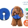 Collar Isabelino Inflable Talle Small Perros Gatos Pequeños